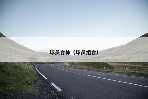 球员合体(球员组合) 球员合体(球员组合)