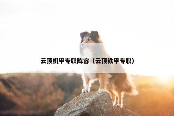 云顶机甲专职阵容（云顶铁甲专职）