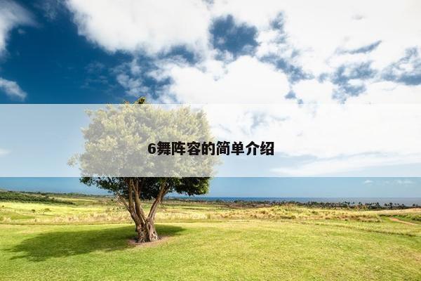 6舞阵容的简单介绍