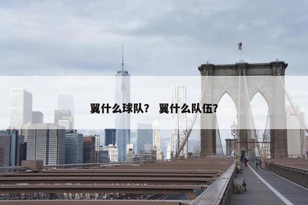 翼什么球队？ 翼什么队伍？