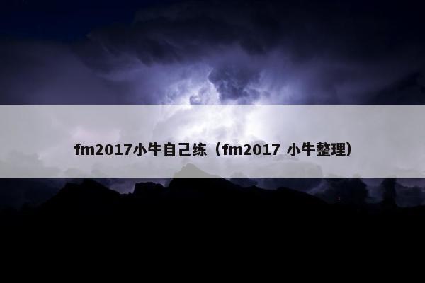 fm2017小牛自己练（fm2017 小牛整理）