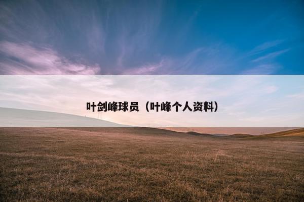 叶剑峰球员（叶峰个人资料）