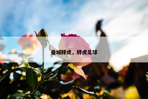 曼城胖虎，胖虎足球