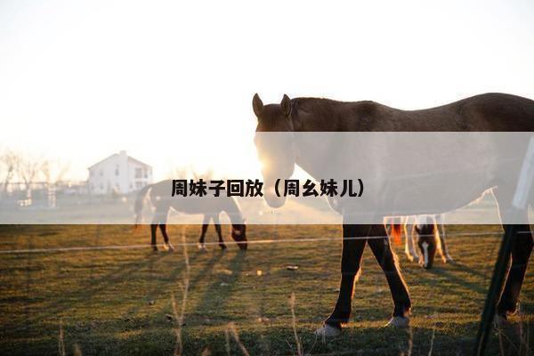周妹子回放（周幺妹儿）