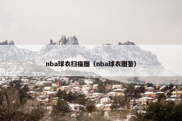 nba球衣扫描图(nba球衣图鉴) nba球衣扫描图(nba球衣图鉴)