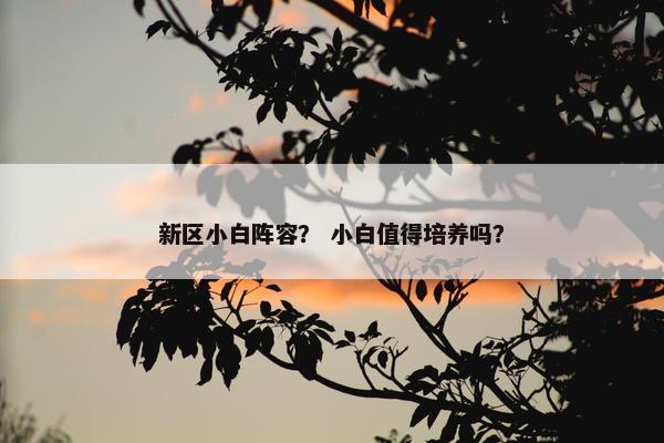 新区小白阵容？ 小白值得培养吗？