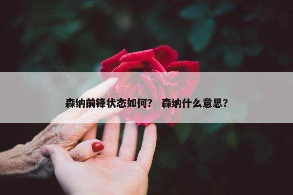 森纳前锋状态如何？ 森纳什么意思？