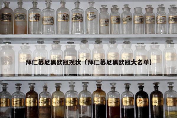 拜仁慕尼黑欧冠现状（拜仁慕尼黑欧冠大名单）