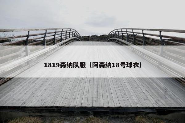 1819森纳队服（阿森纳18号球衣）