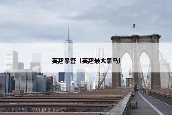 英超黑签(英超最大黑马) 英超黑签(英超最大黑马)