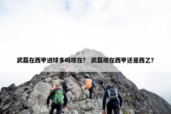 武磊在西甲进球多吗现在？ 武磊现在西甲还是西乙？