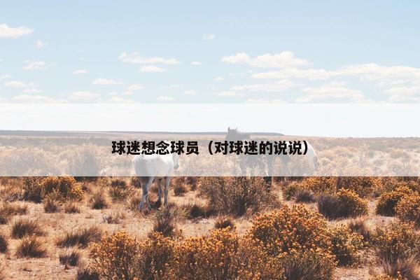 球迷想念球员（对球迷的说说）