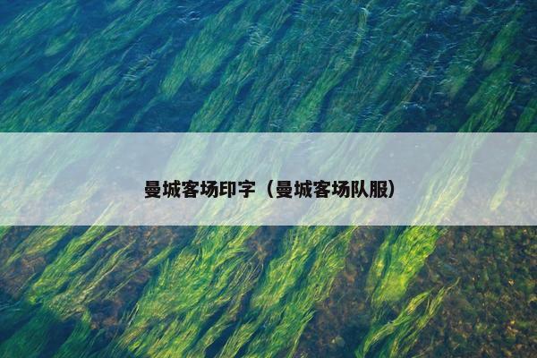 曼城客场印字（曼城客场队服）