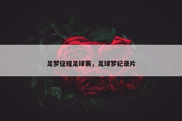 足梦征程足球赛，足球梦纪录片