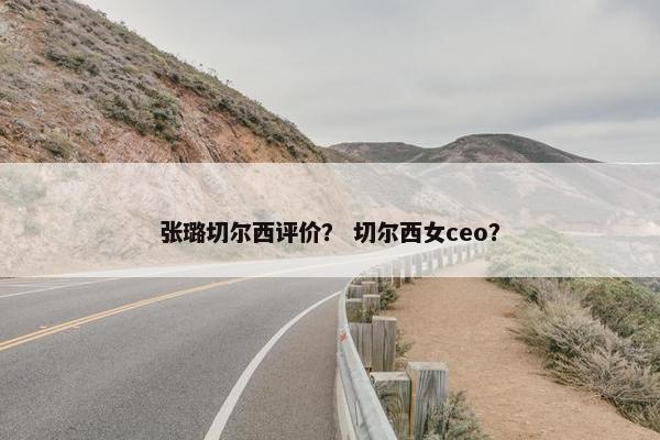 张璐切尔西评价？ 切尔西女ceo？