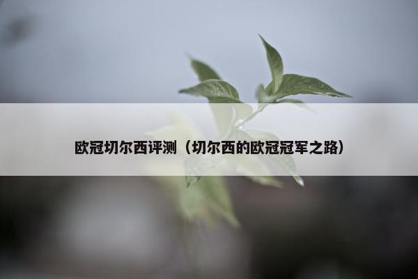 欧冠切尔西评测（切尔西的欧冠冠军之路）