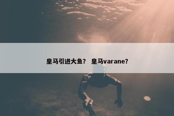皇马引进大鱼？ 皇马varane？