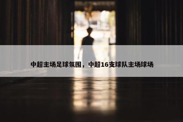 中超主场足球氛围，中超16支球队主场球场