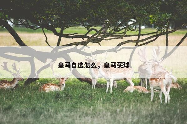 皇马自选怎么，皇马买球