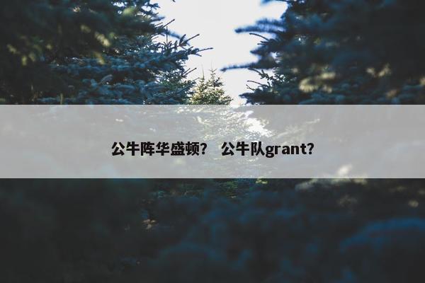 公牛阵华盛顿？ 公牛队grant？