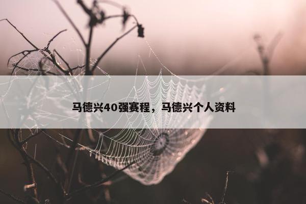 马德兴40强赛程,马德兴个人资料 马德兴40强赛程,马德兴个人资料