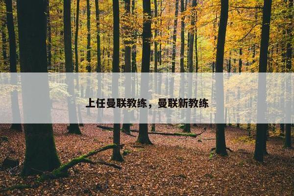 上任曼联教练,曼联新教练 上任曼联教练,曼联新教练