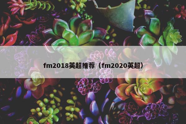 fm2018英超推荐（fm2020英超）