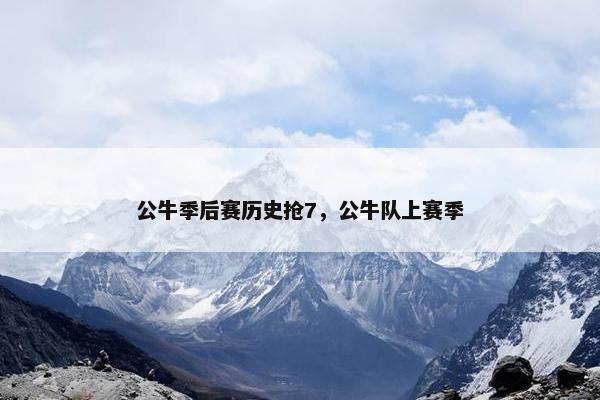 公牛季后赛历史抢7，公牛队上赛季