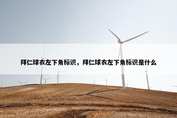 拜仁球衣左下角标识,拜仁球衣左下角标识是什么 拜仁球衣左下角标识,拜仁球衣左下角标识是什么