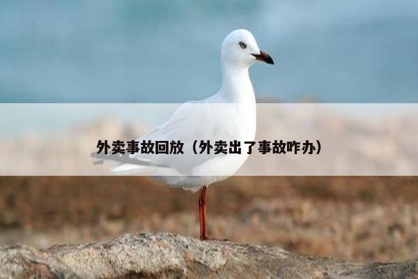 外卖事故回放（外卖出了事故咋办）