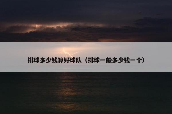 排球多少钱算好球队（排球一般多少钱一个）