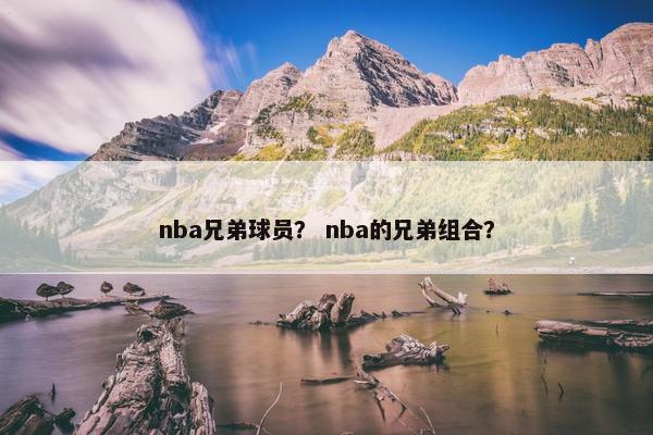 nba兄弟球员？ nba的兄弟组合？