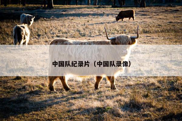 中国队纪录片(中国队录像) 中国队纪录片(中国队录像)