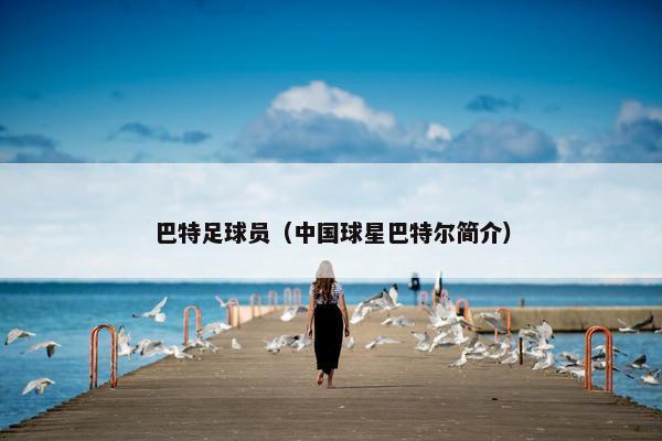 巴特足球员（中国球星巴特尔简介）