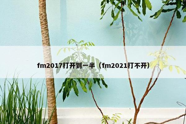 fm2017打开到一半（fm2021打不开）