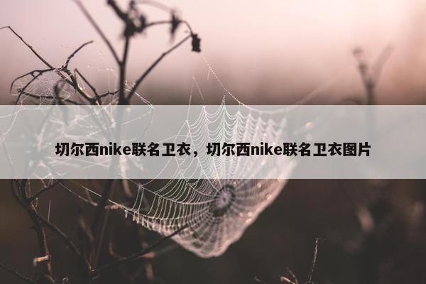 切尔西nike联名卫衣，切尔西nike联名卫衣图片
