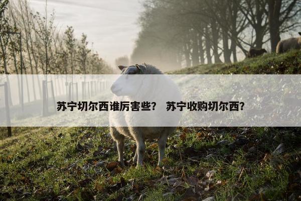 苏宁切尔西谁厉害些？ 苏宁收购切尔西？