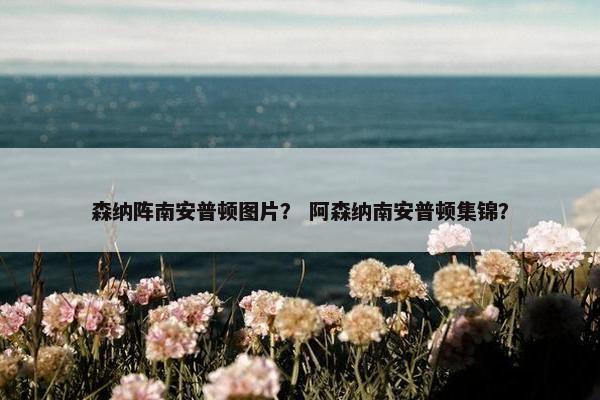森纳阵南安普顿图片？ 阿森纳南安普顿集锦？