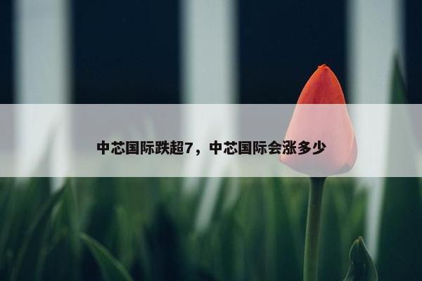 中芯国际跌超7，中芯国际会涨多少