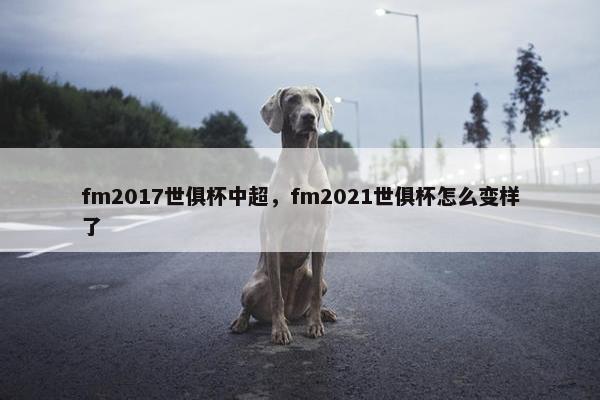fm2017世俱杯中超，fm2021世俱杯怎么变样了