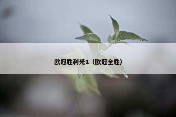 欧冠胜利光1（欧冠全胜）