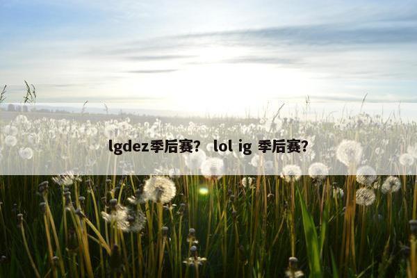 lgdez季后赛？ lol ig 季后赛？