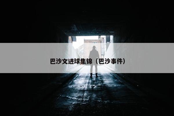 巴沙文进球集锦（巴沙事件）