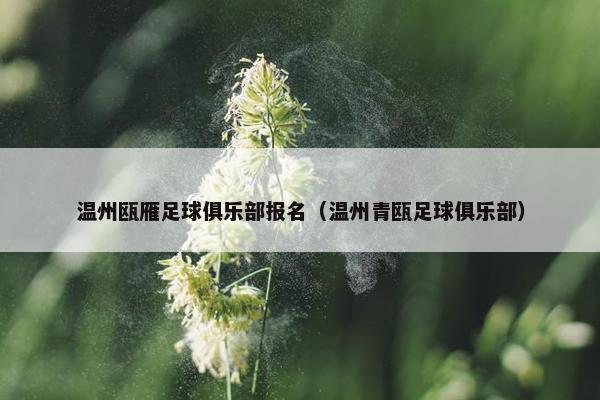 温州瓯雁足球俱乐部报名（温州青瓯足球俱乐部）