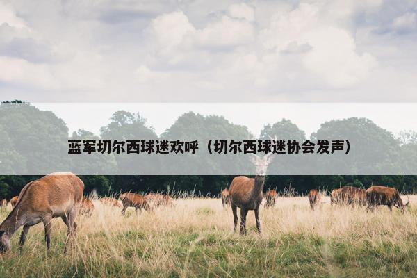 蓝军切尔西球迷欢呼（切尔西球迷协会发声）