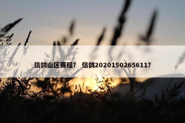 信鸽山区赛程？ 信鸽2020150265611？