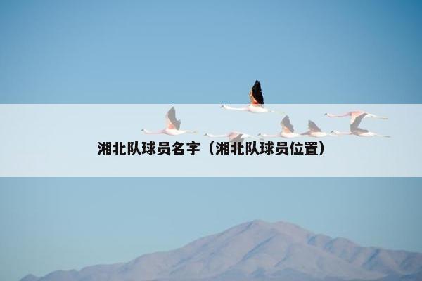 湘北队球员名字(湘北队球员位置) 湘北队球员名字(湘北队球员位置)
