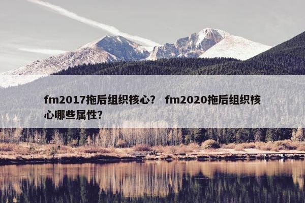 fm2017拖后组织核心？ fm2020拖后组织核心哪些属性？