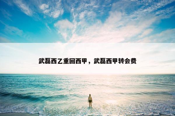 武磊西乙重回西甲，武磊西甲转会费