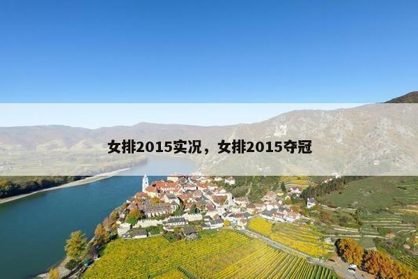 女排2015实况，女排2015夺冠